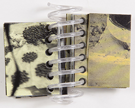 A Million Elephants book