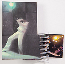 PISSED JEANS 2012 book